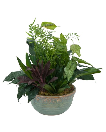 Medium Dish Garden Flower Arrangement